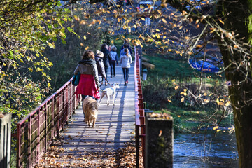 Belgique Wallonie automne nature foret Pont Chiny semois famille femme chien