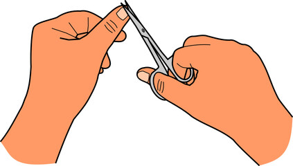 woman's hands cut nail with nail scissors vector on white background isolated