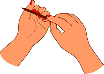 woman's hands doing manicure with nail file vector on white background isolated