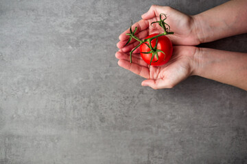 Table top view of fresh organic tomato on woman's palms, copy space left