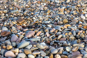 rocks pebbles and shells on the shore