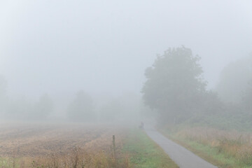 Dämmerung am Morgen mit etwas Nebel im Bruch von Bünde, eine Flußniederung, Tal des Flusses Else