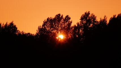 sunset in the field