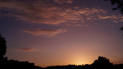 sunset in the forest