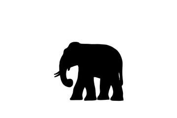 Silhouette of an adult elephant