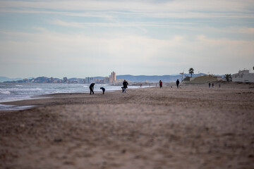 cargo ships are in the roadstead