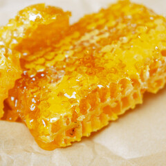 honeycomb with honey