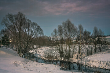 snow covered trees