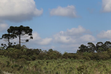 Landscape is a beautiful with sky blue