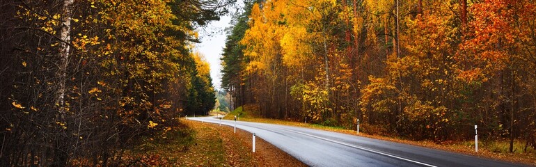 An empty winding S shape highway (new asphalt road) through the colorful autumn forest. Green and...