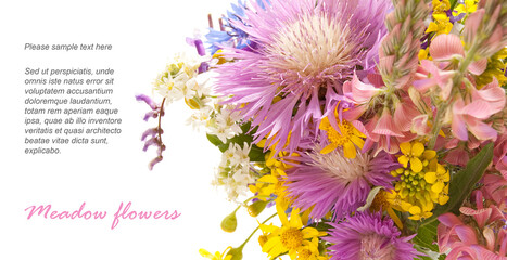 Bouquet of meadow flowers on a white background