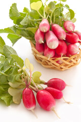 Radish isolated on the white background