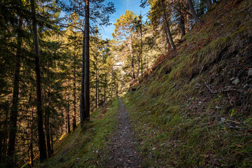 path in the forest.schlossbachklamm