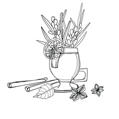 Drawing set for mulled wine. A glass of wine, cinnamon, anise, orange, sea buckthorn. Warming winter drink. Coloring book for children and adults, poster, textile, packaging. Isolate. stock graphics