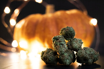 Cannabis with festive pumpkin.