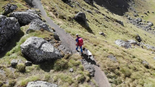 Dolomiti escursionista con il cane