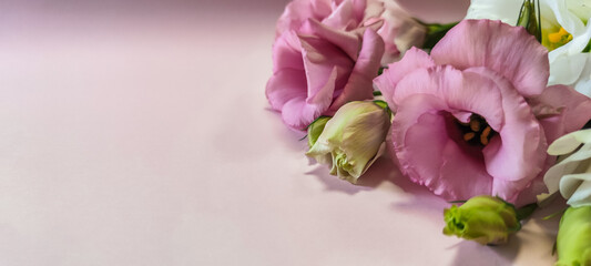 Pink and white roses flowers with copyspace