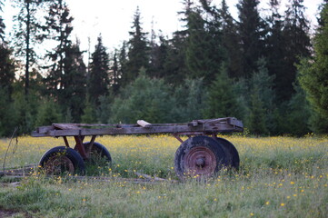 Obraz premium old cart in the field