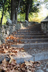 Scala ricoperta di foglie cadute sul prato in un parco in autunno