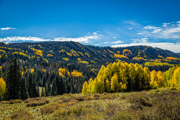 Obraz premium Cumbres and Toltec Narrow Gauge Railroad