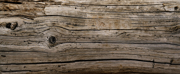 Dry cracked wood texture tree section. Heavy wooden natural beam - 391099814