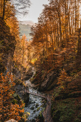 Thur Waterfall Gorge - Switzerland