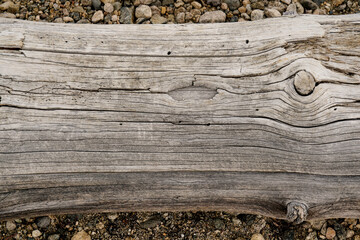 Dry cracked wood texture tree section. Heavy wooden natural beam