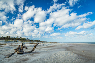 Amelia Island Dunes