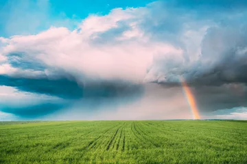 Fotobehang Countryside Rural Field Meadow Landscape In Summer Cloudy Day. Scenic Sky With Fluffy Clouds And Rainbow After Rain On Horizon © Grigory Bruev