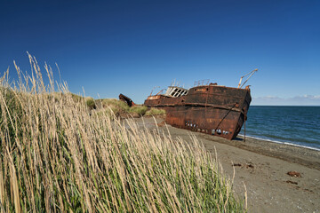 old rusty and rotten ship wreck with holes in its carcass, lying behind long gras on the beach of...