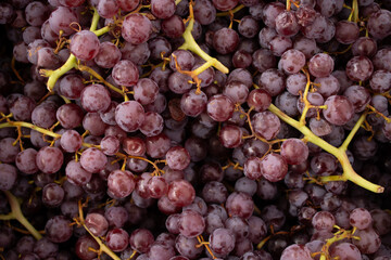 Isolated red grapes at a farmer's market