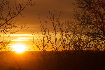 Fototapeta premium sunset 