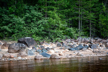 Fototapeta na wymiar lake with stones on the shore in the foreground. Summer forest landscape. Karelia, Russia