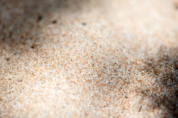 river sand close up, macro. Natural background, sand texture