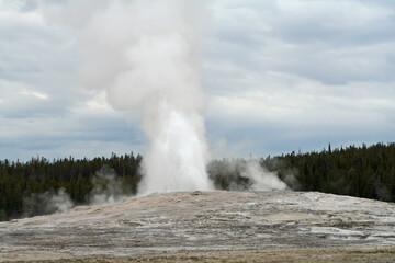 Old Faithful