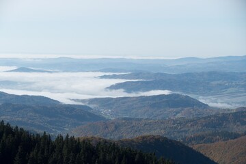 Naklejka premium czech Jeseniky Mountains above the inversion cloud