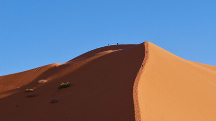 Fototapeta na wymiar People ascending a giant wind shaped sand dune in Erg Chebbi near Merzouga, Morocco, Africa on sunny day with blue sky.