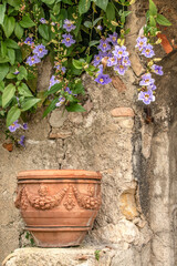 Fototapeta na wymiar Grappe de fleurs violettes et jarre devant des ruines