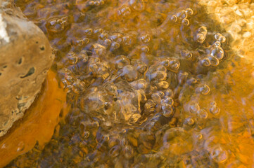 boiling hot springs