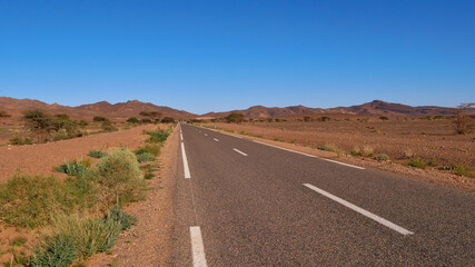 Fototapeta na wymiar Lonely paved country road leading through the barren desert landscape in southern Morocco, Africa with sparse vegetation (bushes and trees) and mountains on the horizon on a sunny day with blue sky.
