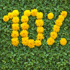 Natural background with green grass and dandelion. 10 percent discount.