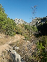 famous natural park paklenica gorge in velebit mountains
