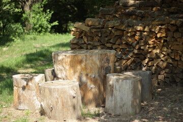 Wood table in the forest
