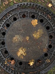 iron hatch with autumn leaves top view