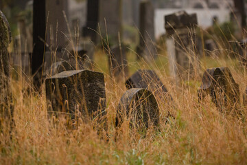 abandoned graves grown with grass