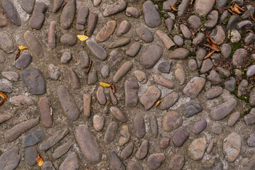 Stones of a medieval floor