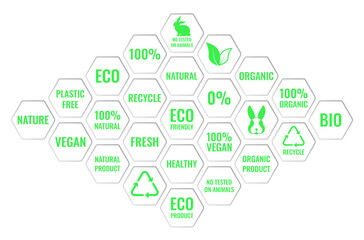 Vector set of icons. Lettering, illustrations in a green hexagonal on the theme of eco, bio, natural and healthy products, safe for vegans. Design template for websites, social networks.