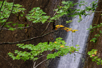 nacedero del rio Urederra, parque natural de Urbasa-Andia,comunidad foral de Navarra, Spain