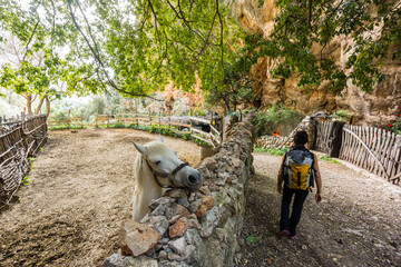 Cova del Senyor Guillem.Comuna Bunyola. Bunyola.Sierra de Tramuntana. Mallorca. Baleares. Spain.
