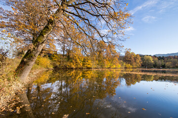 Autumn on an idyllic lake in Austria